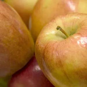 Honeycrisp apples.