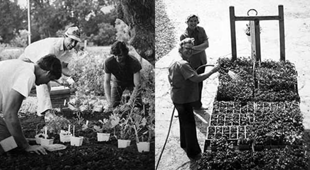 Old photograph of Lammscape nursery team.