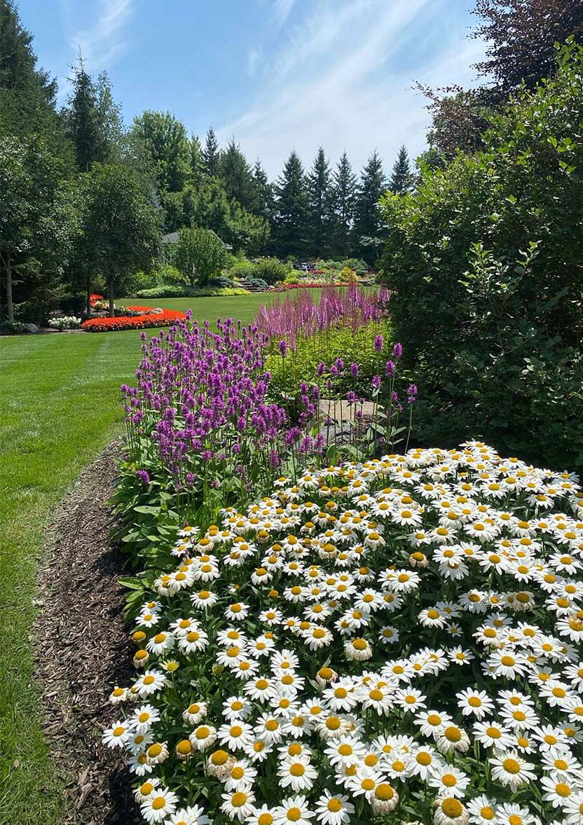 Landscaped garden bed.