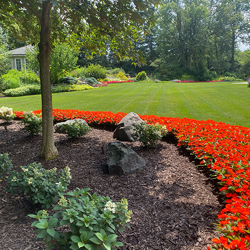 Colorful landscaping.