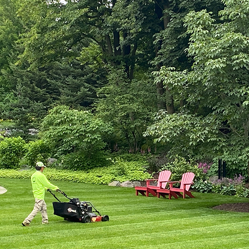 Landscaper mowing the lawn.