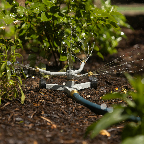 Sprinkler watering a flower bed.