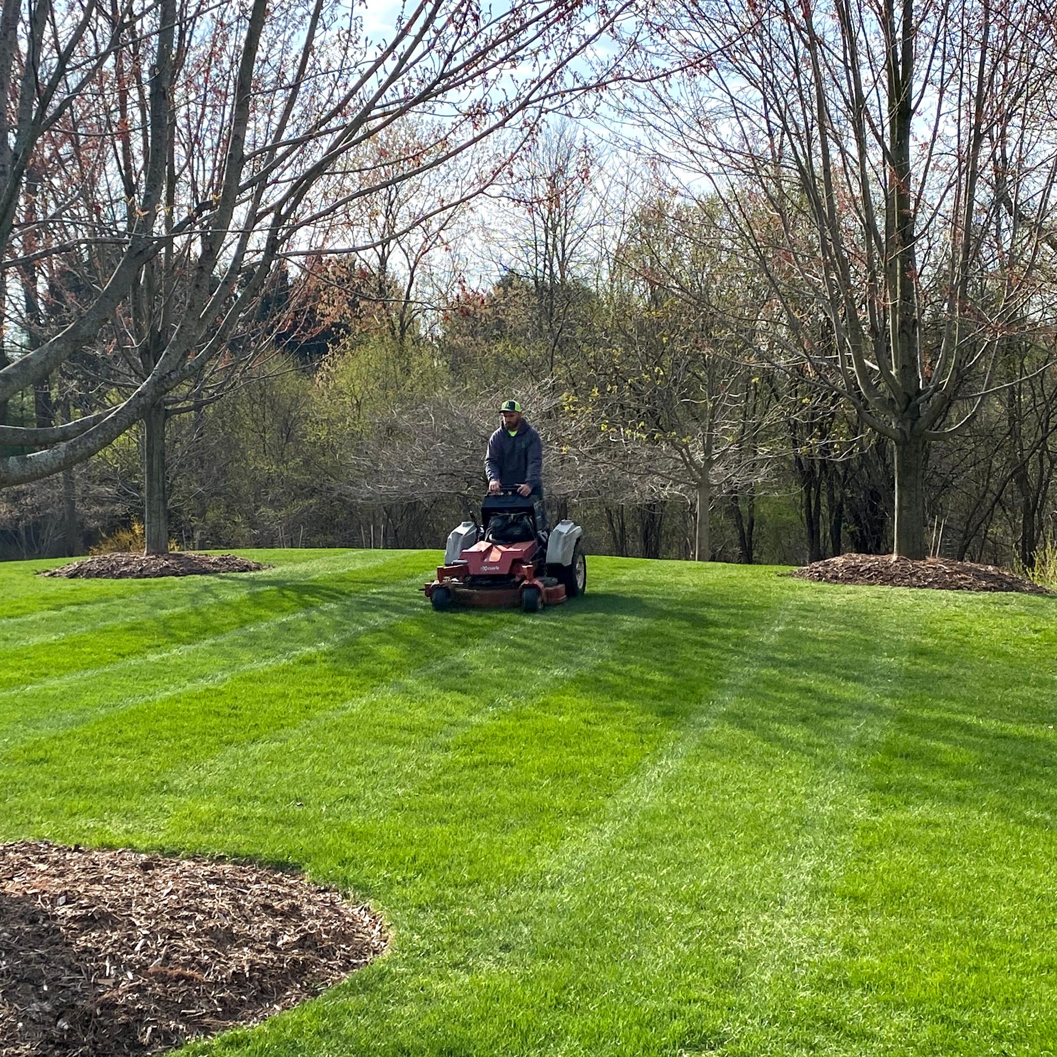 Landscaper maintaining a lawn.